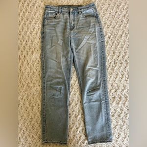 American Eagle Strigid Mom Jean